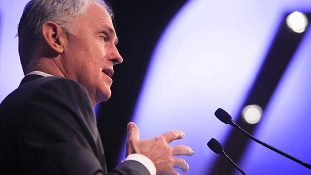 Pandering to populist left-wing ideology may have an adverse effect on future Coalition leadership bids ... Malcolm Turnbull.