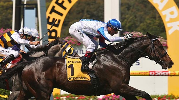 Trainer David Hayes says Americain came through the Australian Cup without a concern.