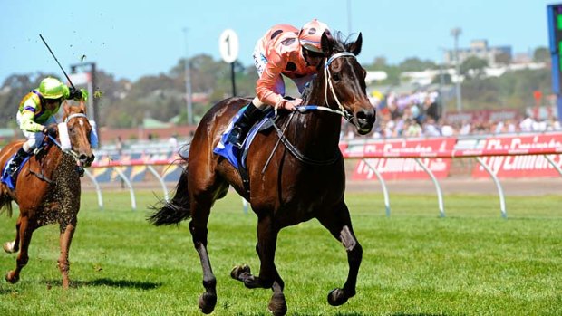 Contender: Black Caviar with Luke Nolen in the saddle.
