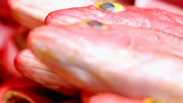 Queensland's snapper stocks are depleted, according to the state government.