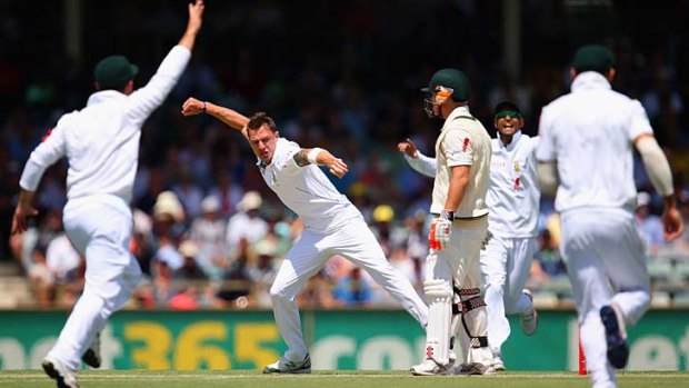 Stirring: Dale Steyn celebrates taking David Warner's wicket.