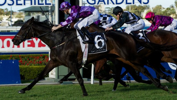 Dream machine: Jason Coyle's six-year-old is chasing group 1 success.