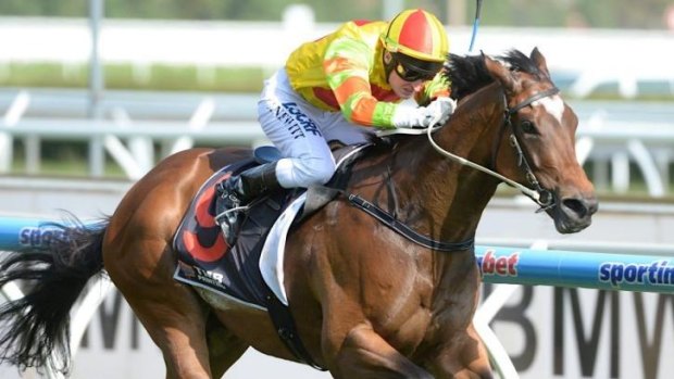 Inside running: Lankan Rupee, seen here winning at Caulfield, has drawn the  rails in the T.J.Smith Stakes. 