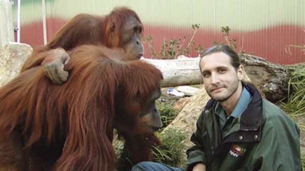 Forecast of extinction in the wild within a decade … Leif Cocks with orang-utans that have been raised at Perth Zoo and are to be released in Sumatra.
