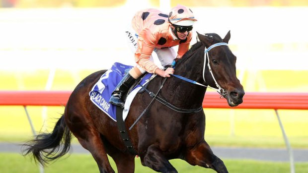 'Black Caviar is no stranger to controversy herself.'