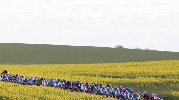 The peloton rides during the 190-km third stage of the Giro d'Italia in Horsens.
