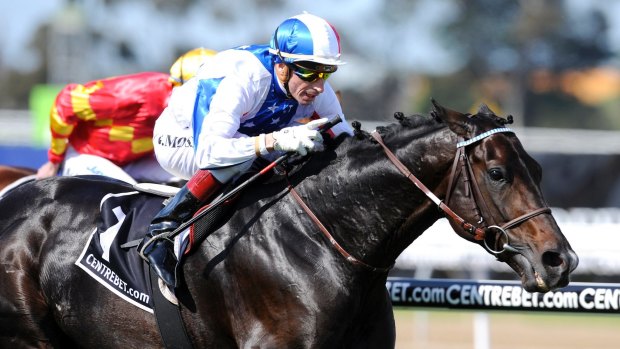 Cup double: Americain won the Geelong Cup and Melbourne Cup in 2010.