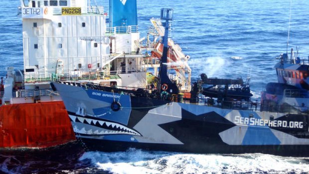 Crash course &#8230; the Sea Shepherd ship Bob Barker colliding with a Japanese whaling fleet fuel tanker.
