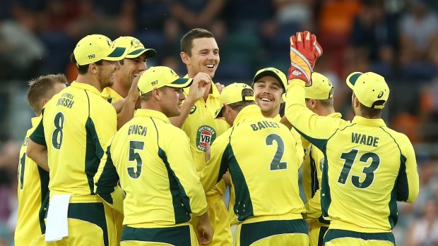 All smiles: Josh Hazlewood celebrates with team mates after the wicket of Tom Latham.