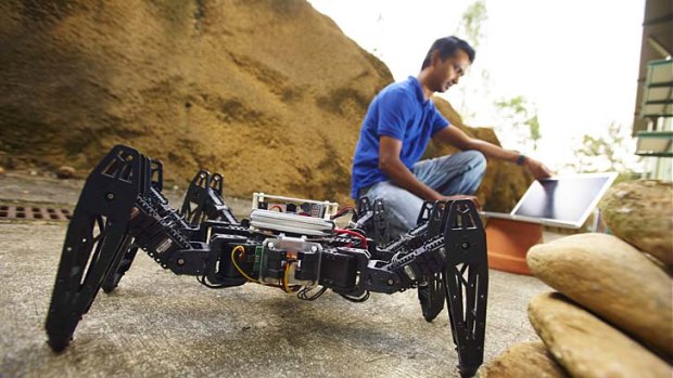 An insect-like hexapod robot.