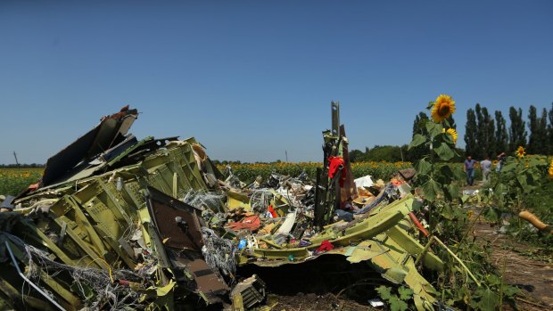 Debris from the front section of Malaysian flight MH17 on the outskirts of Rassypnoe village in the self proclaimed Donetsk People's Republic, Ukraine.