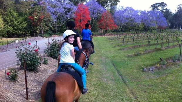 Out and about: horse riding at Cassegrain Wines.