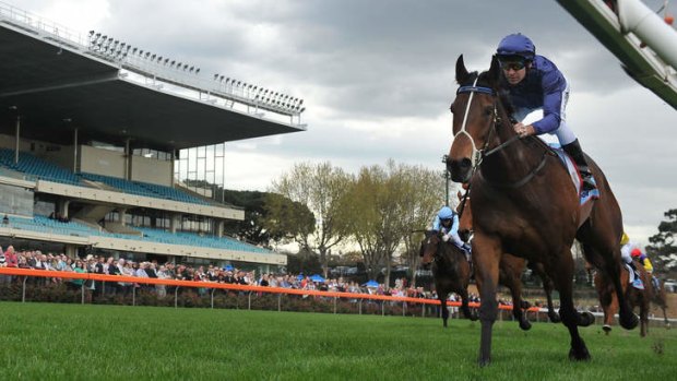 Hand canter: Atlantic Jewel cruises to win No.9, at Moonee Valley on Saturday.