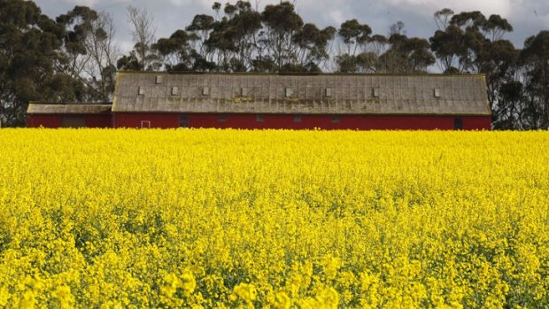 Investors find it hard to get a foothold in Australian agribusiness.