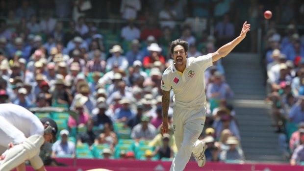 Mitchell Johnson terrorised the English in the last Ashes series.