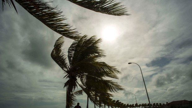 Winds brought by Hurricane Irma blow trees lining the seawall in Caibarien, Cuba, before landfall on Friday.