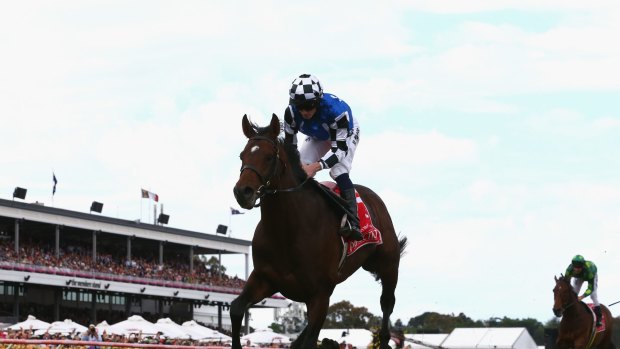 Protectionist won last year's Melbourne Cup.
