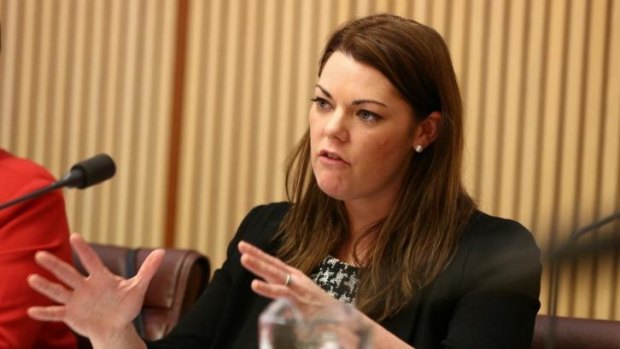 Sarah Hanson-Young: The Greens senator said that immigration information was being leaked at "suspiciously convenient times".