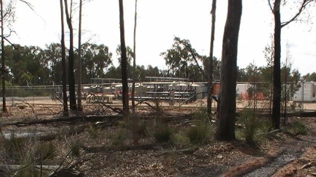 Exposed: Contamination from gas operations in Pilliga Forest.