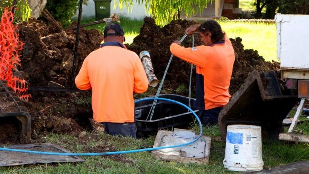 Tony Abbott called the NBN one of the 'great all-time white elephants.'