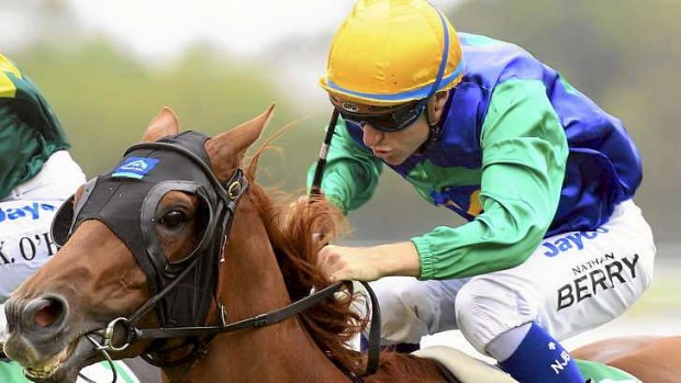 Withdrawn from sale: the Tinkler-owned Ferment has won races at Canterbury and Rosehill.