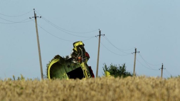 The rear fuselage of flight MH17 at the crash site.