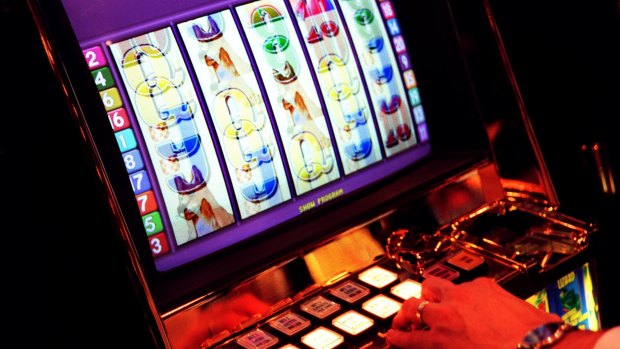 The Southern Cross Club Gaming says its gaming revenue is $23 million a year, half of its income.