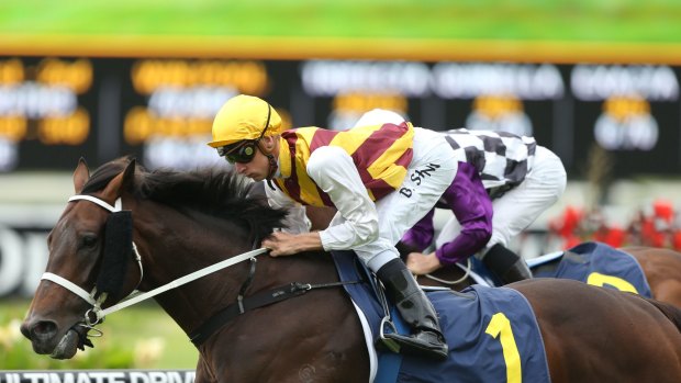 A keeper: Preferment has given owners Chris and Frank Cook plenty to be happy about.