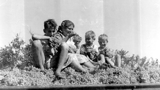 The Casella family in the early days, who produce the vibrant [yellow tail] range.