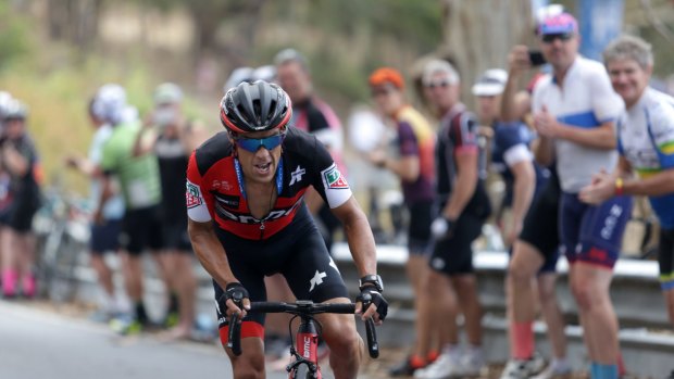 Grit: Richie Porte wins the stage-five climb into Willunga for the fifth time.