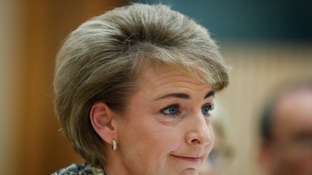 Employment Minister, Senator Michaelia Cash, became entangled over a media drop that had unforeseen consequences.
