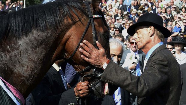Inseparable: Sir Henry Cecil and his unbeaten champion Frankel last year.