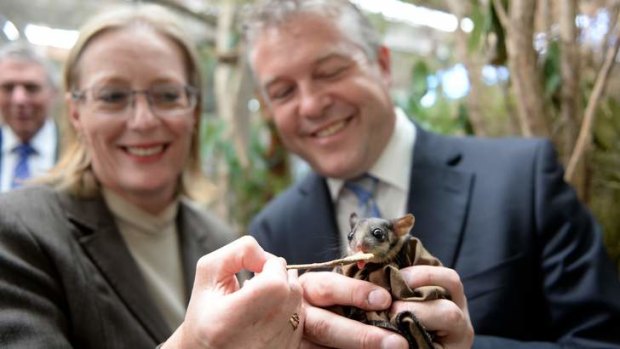 State Ministers Cindy McCleish and Ryan Smith with a Leadbeater possum at Healesville Sanctuary.