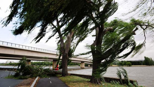 Strong winds over brought down tree branches near Lake Burkey-Griffin on Tuesday, when winds were blamed for the loss of power to 8500 homes and businesses in Canberra.