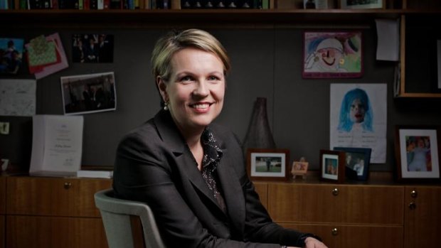 Health Minister Tanya Plibersek's first order of business is to garner support for the government's means test for the private health rebate scheme.