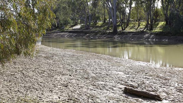 Edward River: Residents of Deniliquin will be thankful for the river's cool relief after the town notched up a blistering 44.3 degrees on Tuesday.