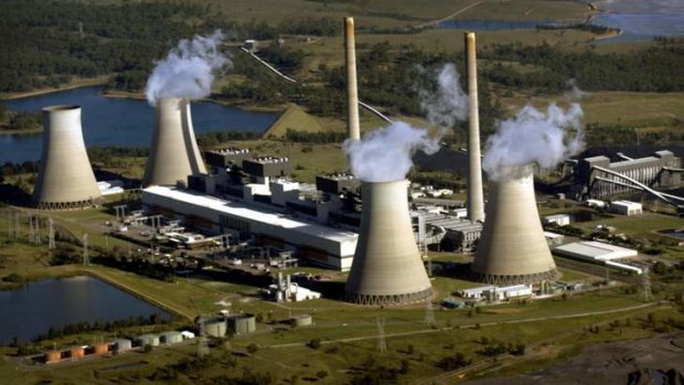 Up for sale: Bayswater Power Station in the Hunter Valley.