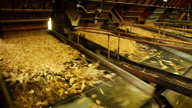 Demand for wood chips has plunged.