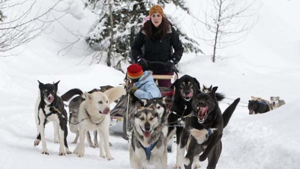 Killed ... husky dogs pull tourists as part of a tour run by Outdoor Adventures in Canada during last year's Winter Olympics.