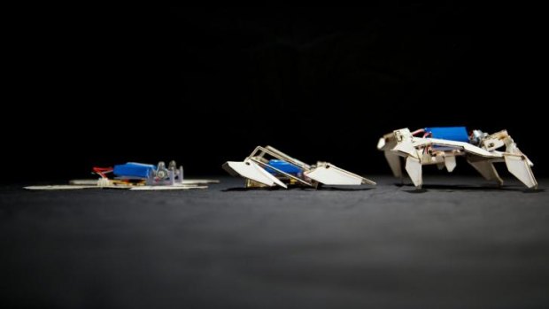 A self-folding crawling robot in three stages.