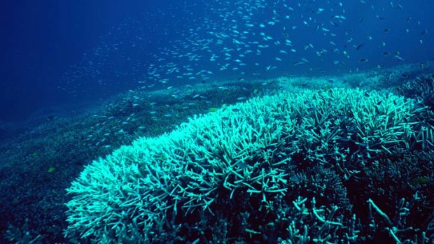 Retrieval: The US Navy plans to recover four unarmed bombs that were dropped in the Great Barrier Reef.