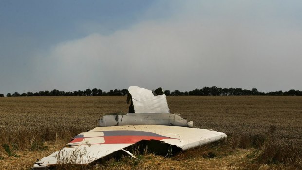 A portion of the MH17 wing lies in the field as smoke rises behind the tree line. 