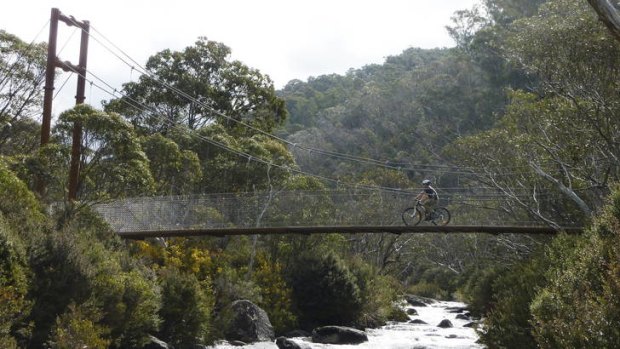 Rob Naisby cycles along the new track which spans the Thredbo River.