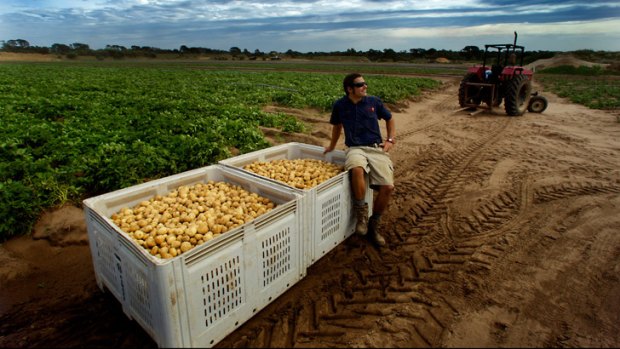 Mornington Peninsula farmer Richard Hawkes and his crates of potatoes destined to feed Melbourne's poor and hungry through Foodbank Victoria.