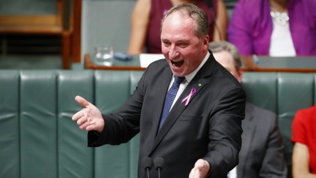Question time: Barnaby Joyce is on a crusade to get government agencies into the bush.