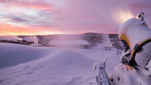 "If you can make snow in Australia, you can make it anywhere in the world": Snow guns replenish cover overnight.
