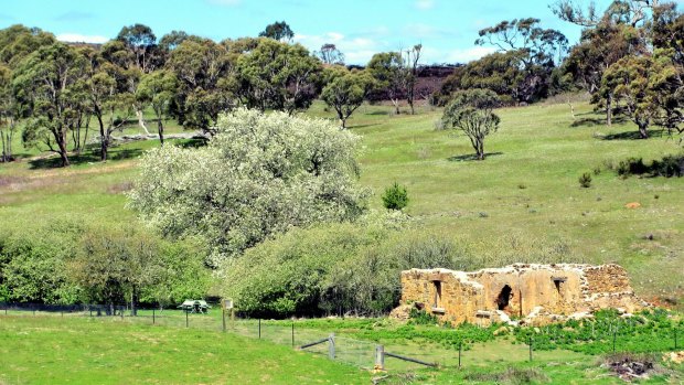 The picturesque ruins of Colliers Homestead. 