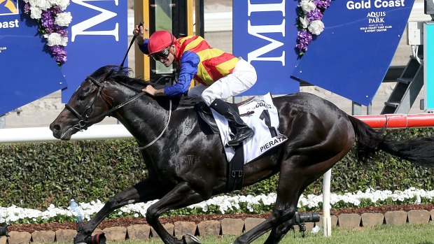Up to the challenge: Pierata wins the Magic Millions Guineas.