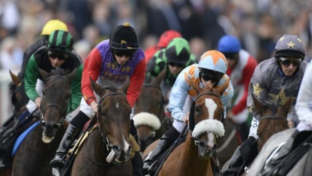 Queen of the turf: Estimate wins the Doncaster Cup but she won't run in the Melbourne Cup. 