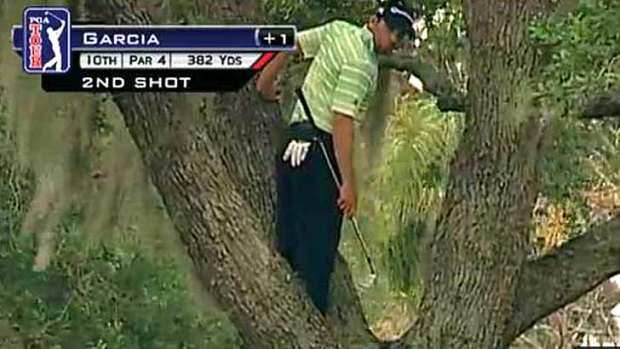 A screenshot of Sergio Garcia's chip shot from a tree at the Bay Hill Invitational.